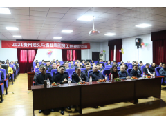 2021贵州尊龙凯时酒业集团员工新春联欢会圆满举行！